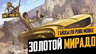 Где найти 