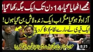 senator aon abbas dreadful tale in his own words pkwire