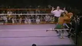 hulk hogan vs johnny rodz wwf 85