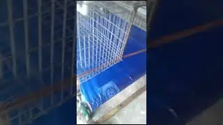 low cost layer poultry farming #poultryfarmingbusiness #birds