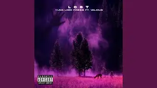 Lost (feat. Valious)