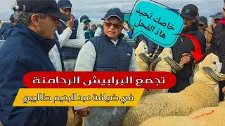 اليوم في ضيافة الكساب عبد الرحيم الطاليبي في تجمع البرابيش الرحامنة 