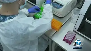 WHO declares monkeypox a global emergency | ABC7