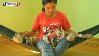 Tiny Baby Olly Hug Sister Luna And Brother Kako Sleeping Well On Hammock