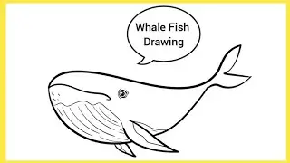 How to draw Whale Fish step by step | Whale Fish drawing 