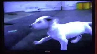 Jay Kurtz skate footage 89-91