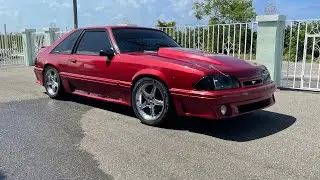Foxbody Mustang GT Walkaround & MORE || GREY 2V ENGINE BAY RESTORATION!!! #ford #foxbody