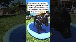 Outdoor Water Sprinkler for Summer Fun #dog #Summer #dealsforyouday #viral