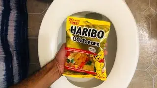 Will it Flush? - Gummy Bears #shorts #asmr #gummies #gummybear #flushing #candy #short #gummy #lit