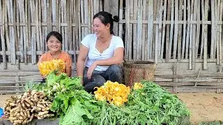 Go see corn harvest pumpkin flowers and young ginger to sell.(build Farm life. )