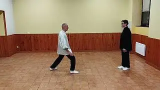 Application martiale fermeture apparente Tai Chi Chuan style Yang de c&ocirc;t&eacute;