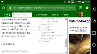 Basic HTML and HTML5 part19: Create a Form Element