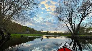 Ipswich River kayaking trail 😇