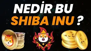 Shib Coin  |  Shiba Coin Nedir?