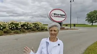 My review of the Wild Rose Casino