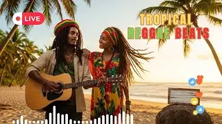 🔴 Reggae Chill AO VIVO ☀️ Música Leve para Descansar