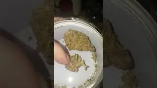 Sativite Dirrag 27%THC Dirty Banana Australian Medical Cannabis Review
