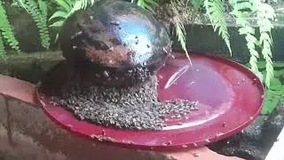 Huge Number of Bees! Honey Mass production |   bee keeping  #bees #beehive