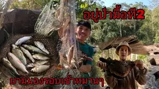อยู่ป่ามื้อที2หมานๆอีกเเล้ว/ຢູ່ປ່າມື້ທີ່231 มกราคม ค.ศ. 2026