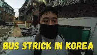 WALK 9KM AROUND 3HOURS ll BUS STRICK KOREA