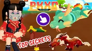ALL NEW SECRETS IN THE NEW LUNAR NEW YEAR UPDATE🤫🧧