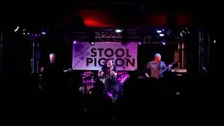 Stool Pigeon  im LiveStage  