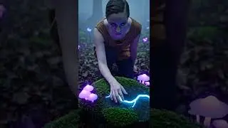 Tracing Glowing Forest Paths