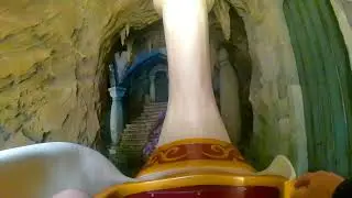 De zes Zwanen - Sprookjesbos Efteling
