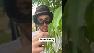 Virtual Reality Vs Actual Reality #Shorts