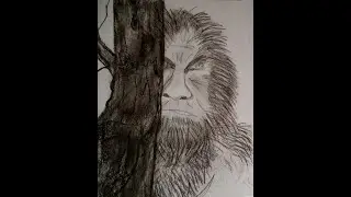 Unknown beings interacting in Arizona (Sasquatch?)