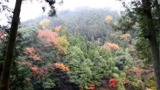 Hatonosu walking trail