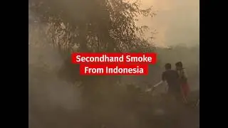 The Worst Haze In Singapore's History