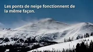 Conseil - Les secrets de la faune montagnarde