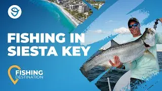 Fishing in Siesta Key: Your Complete Guide