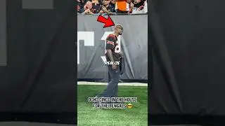 Ochocinco is one of the funniest players in the NFL  😂