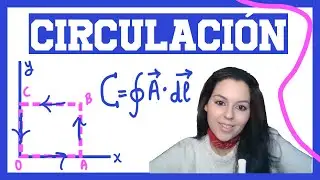 Circulación a lo largo de una trayectoria cerrada de un campo vectorial