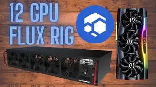 12 GPU Flux Rig | Minerdude Server Case | Mining Rig Build