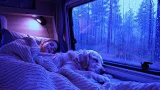 Thunderstorm Sounds with Heavy Rain for Stress-Free Sleep and Calm Nights