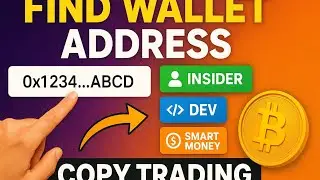 YANDA AKE NEMO WALLET ADDRESS (Step-by-Step) &mdash; INSIDER / DEV / SMART MONEY