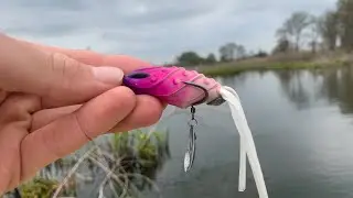 A MONSTER Snakehead Ate This Frog! (Delaware Snakehead Fishing)