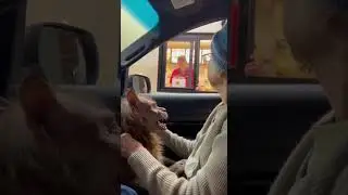 Какая жуткая кошка 😳