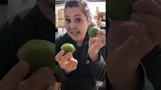 truc de lime 😍😍 #cheffe #food #fypシ゚viral #hack #fypage #fyp