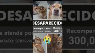 15 de janeiro de 2026