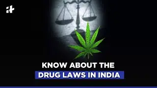 Know About The Drug Laws In India