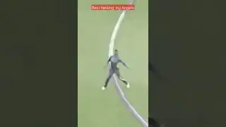 Best fielding #cricket  #shorts #angelomathews