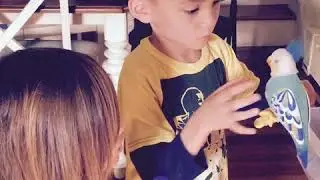 Make Toys Fun Again!