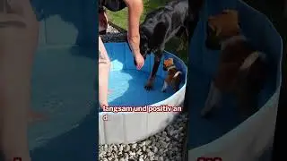 Alltag f&uuml;r uns, Abenteuer f&uuml;r ihn. ❤️ Poolaufbau ❤️