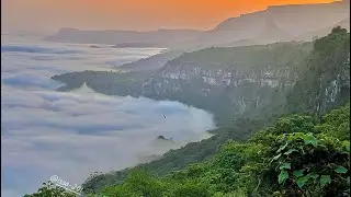 حوف المهرة ( محمية حوف الطبيعية ) .