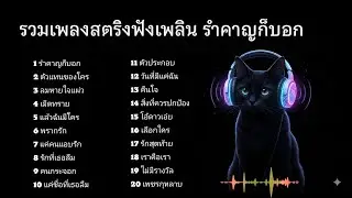 รวมเพลงสตริงฟังเพลิน รำคาญก็บอก #เพลงออนไลน์ 