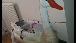‪Rc ‪&lrm;Swan‬ ‪&lrm;/ Cygne &lrm;- First Person View FPV